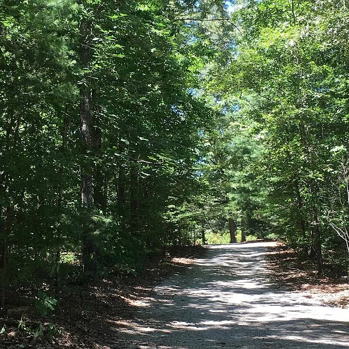 Crestview Loop, Crossville — Photo 1