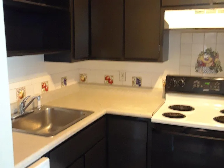 1708 Sawyer Way #278 — Photo 10