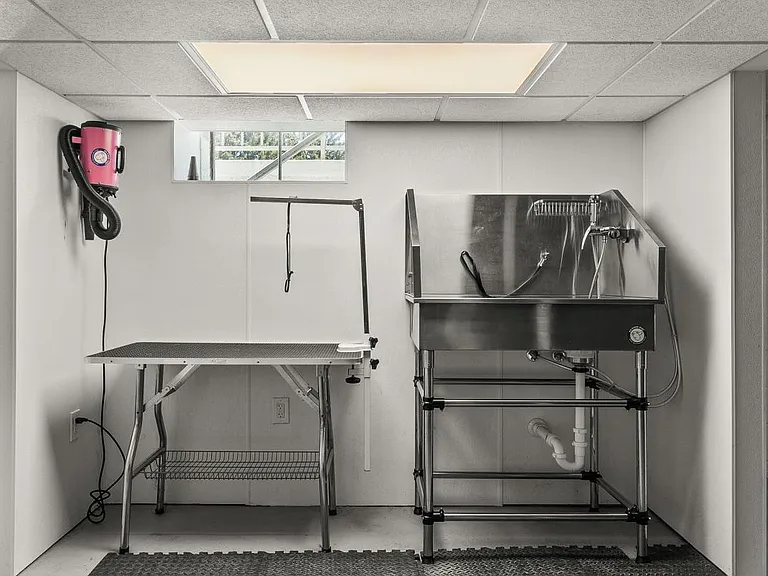 Indoor Pet-Washing Station