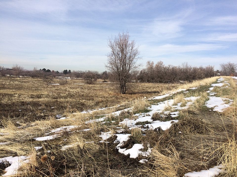 2nd image of 802 N Ellison Rd