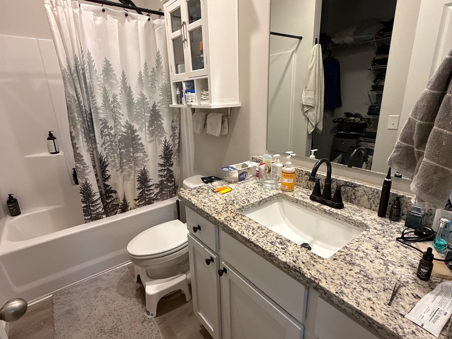 2 bed, 1200 sqft, $2,100 — Photo 2