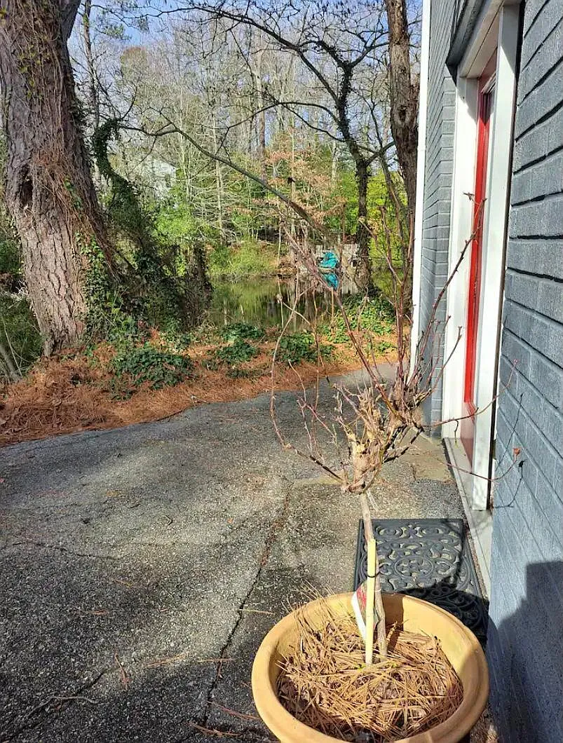 Maxwell Ln, Newport News — Photo 4