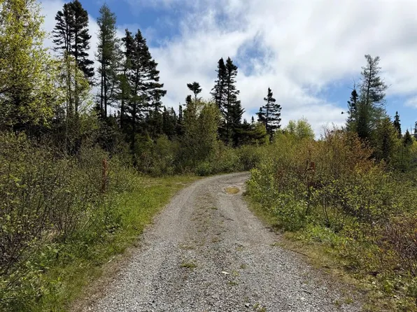 0 Main Street, Dog Bay, NL A0G3R0