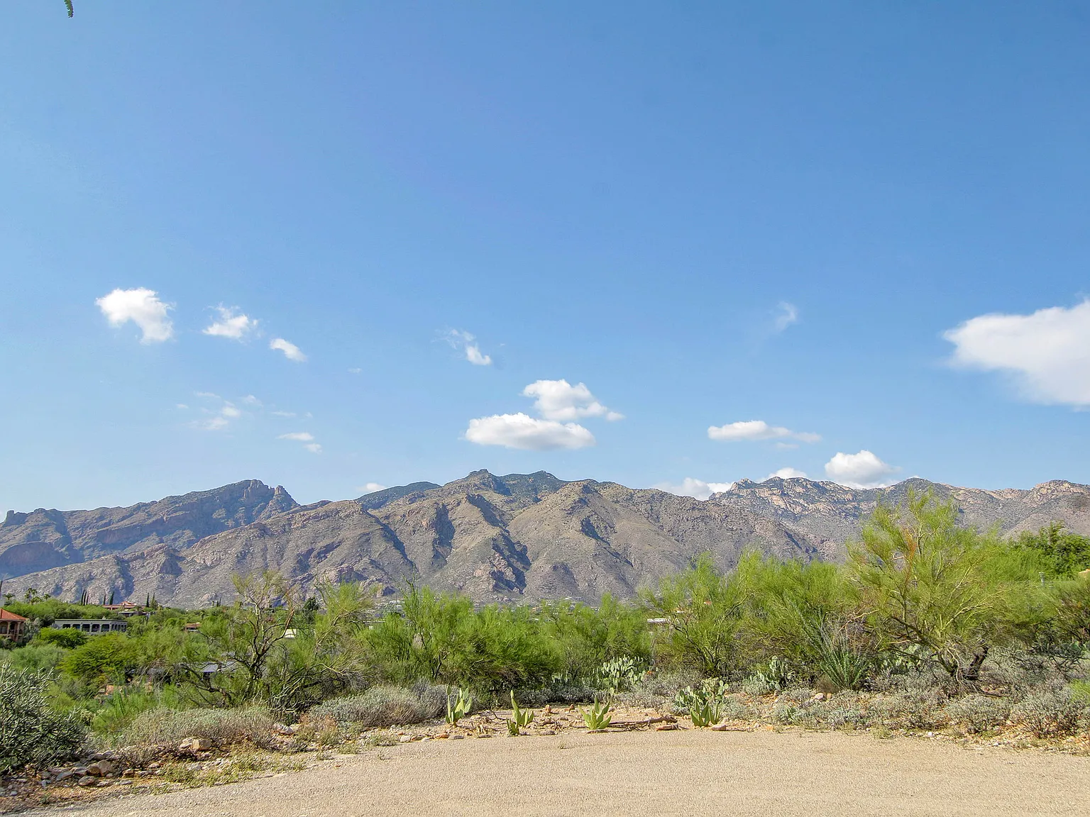 3 bed, 4.5 bath, 3126 sqft, $3,400 — Photo 4