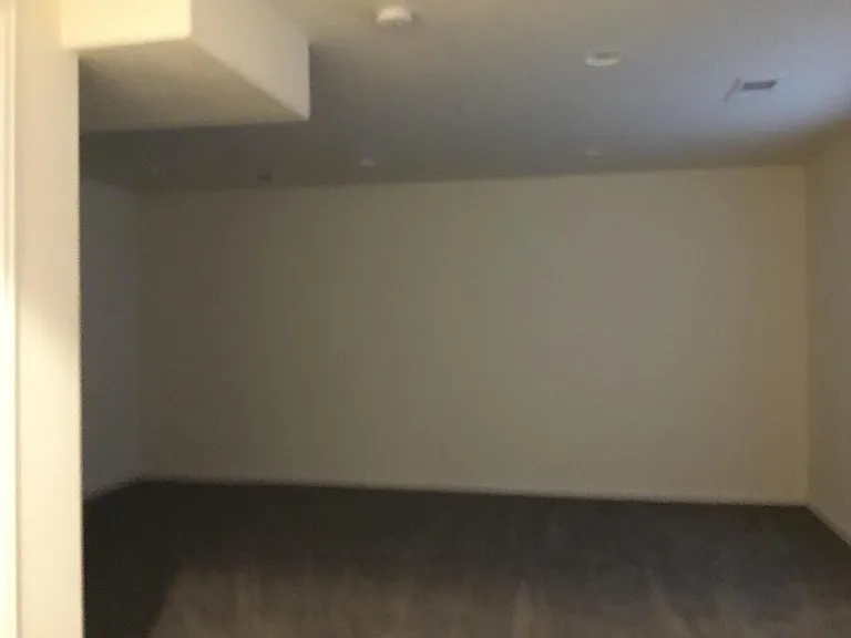 Flex space in basement