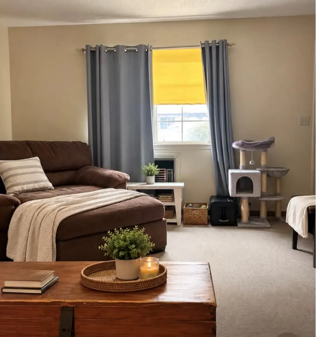 2 bed, 1.5 bath, $1,650 — Photo 4