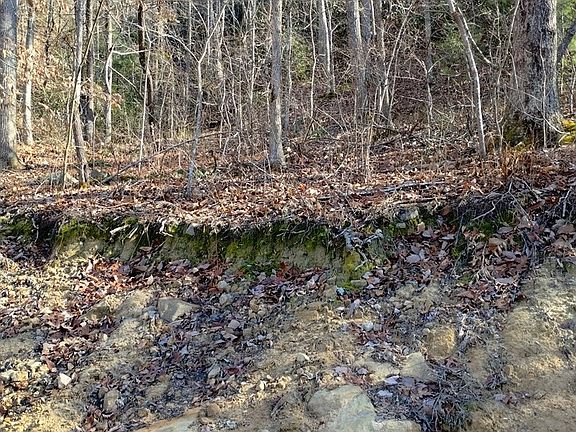 3rd image of 26 Black Oak Dr Lot 26