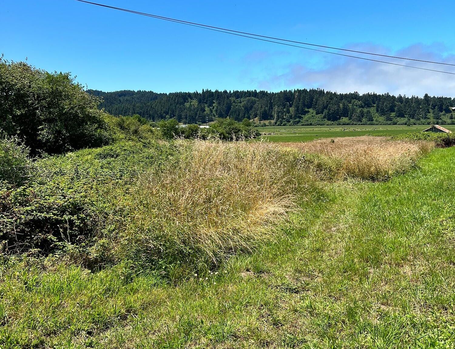 0 Elk River Rd, Eureka, CA 95503 MLS 262357 Zillow