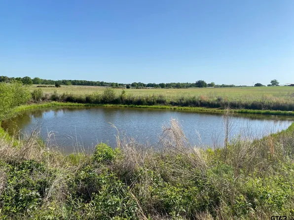 Fm 607 S, Larue, TX 75770