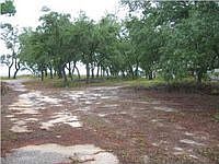 1st image of 6024 E Bay Blvd