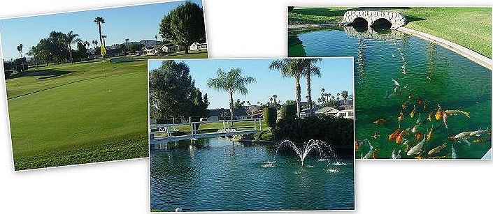 1st image of 1361 Amberwood Dr