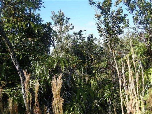 2nd image of Ohialani Lot 45