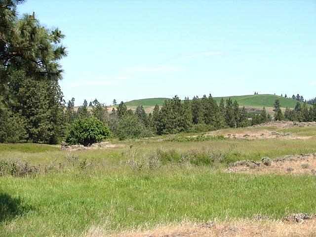 2nd image of 0 W Williams Lake Rd Lot 7