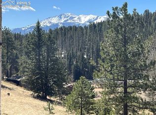 194 Rainbow Trl, Divide, CO 80814