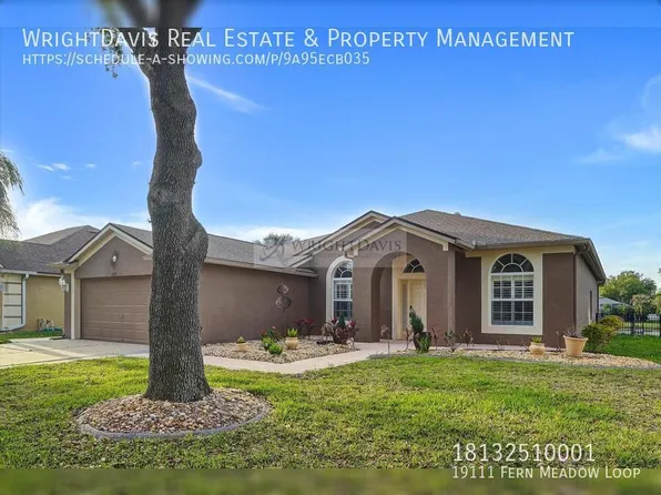 19111 Fern Meadow Loop, Lutz, FL 33558