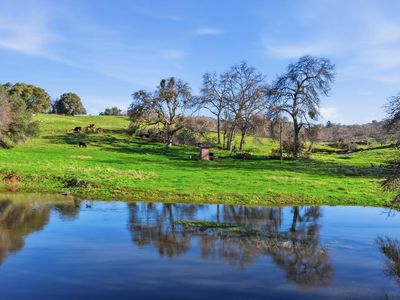 11777 Shenandoah Rd, Plymouth, CA, 95669