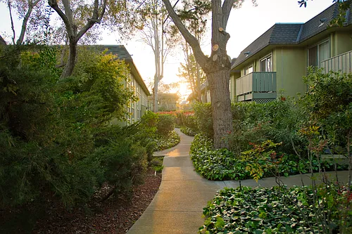 Olive Tree Apartments Photo 1