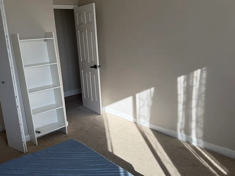 6833 N Kedzie Ave #1113 — Photo 9