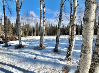 23188 W Willow Fishhook Rd, Willow, AK 99688