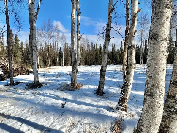 23188 W Willow Fishhook Rd, Willow, AK 99688