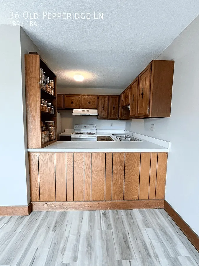 Modern 1BR Apartment in Wethersfield Available Now — Photo 1