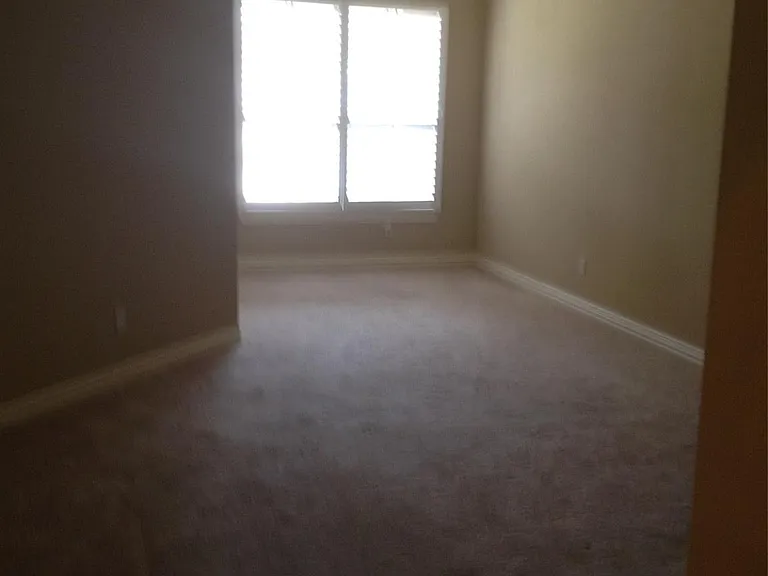 2038 Palm Forest Ln — Photo 12