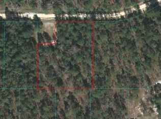 0 SW 41st Pl, --, FL 34481