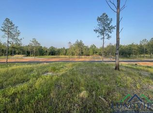 3 Eagle Creek Dr, Diana, TX 75640