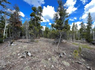 478 Circle 73, Fairplay, CO 80440