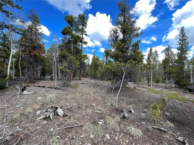 478 Circle #73, Fairplay, CO, 80440