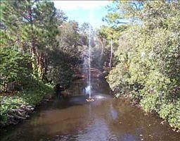 2nd image of 3371 Cross Creek Dr #3371