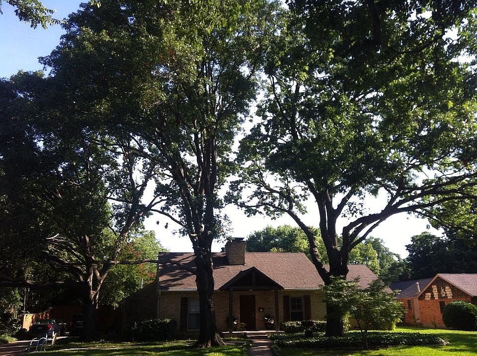1st image of 5811 Royal Crest Dr