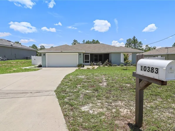 10383 N G Martinelli Blvd, Citrus Springs, FL 34433