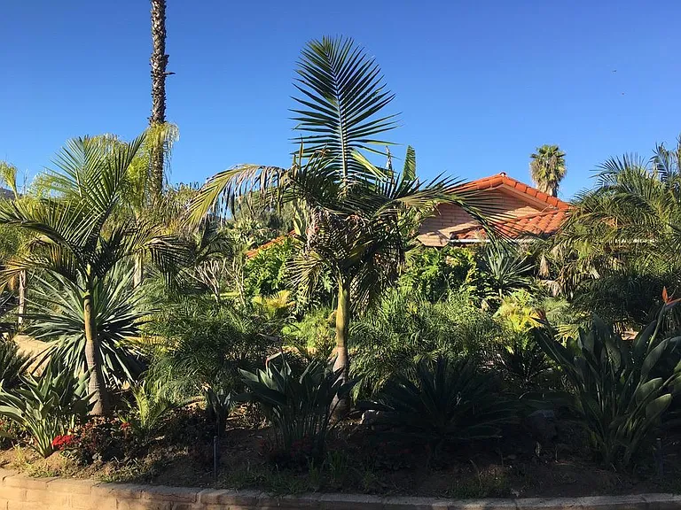 landscaping on driveway to guest house