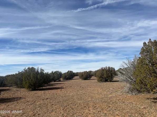 8526 Lake Ridge Rd, Show Low, AZ 85901