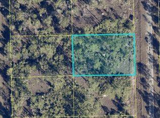 2145 Winnetka Dr, Lehigh Acres, FL 33972