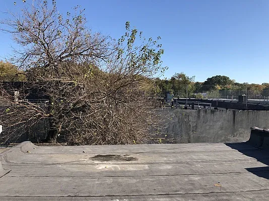 Rented by Doorway NYC, LLC | media 6