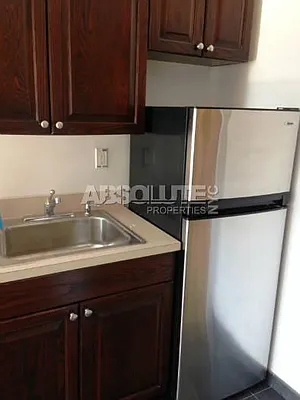 Rented by Absolute Properties of NYC | media 10