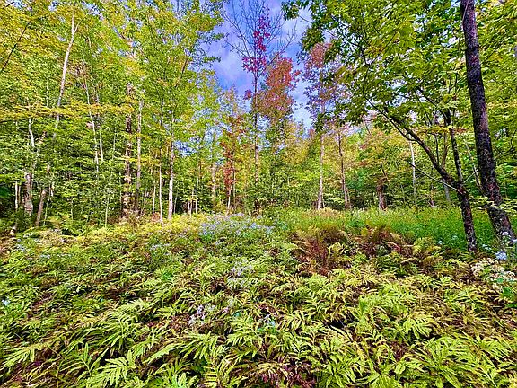 2nd image of 0 Partridge Hollow Road