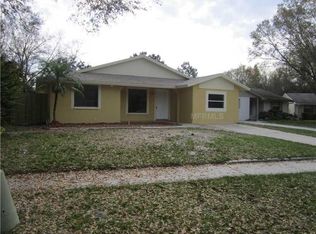 12307 Ajay Ct, Tampa, FL 33625