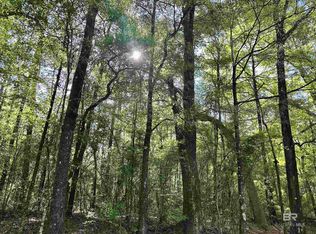 0 Kirkland Rd, Brewton, AL 36426