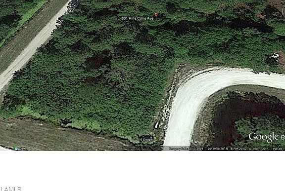 5th image of 801 Pine Cone Ave