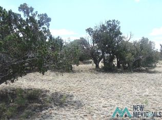 Skyview Dr, Fence Lake, NM 87315