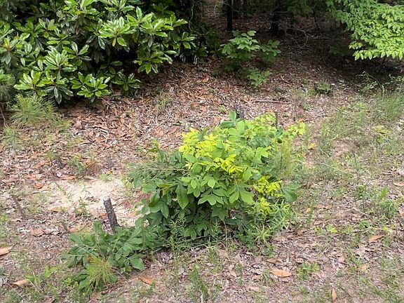 4th image of Lot 25 Cedar Ln Drive