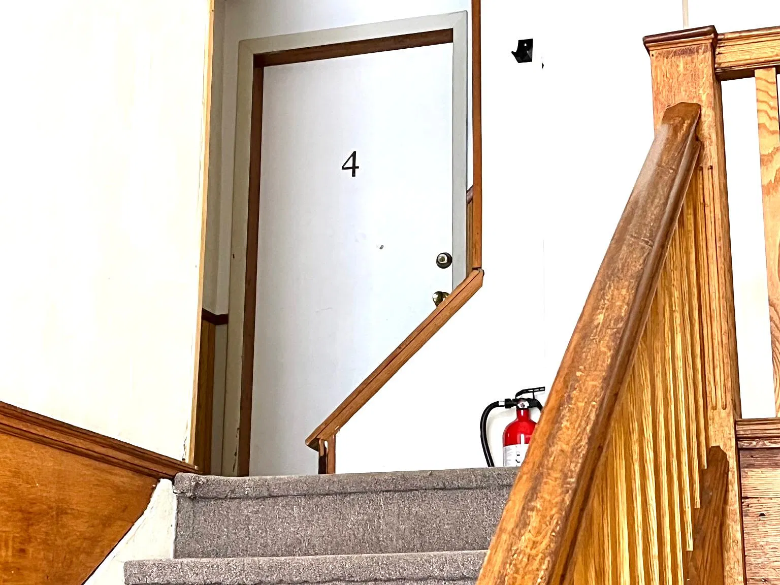 1 bed, $900 — Photo 3