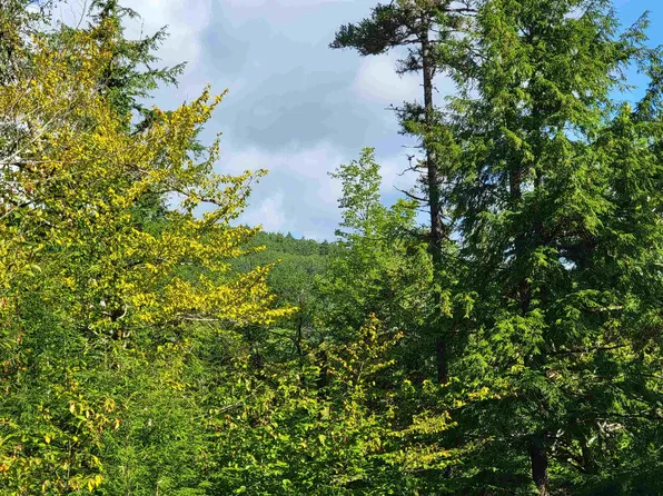 Seven Sisters Circle #1, Campton, NH 03223