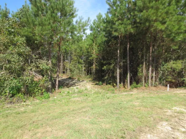 12 Alicia Dr, Ellisville, MS 39437