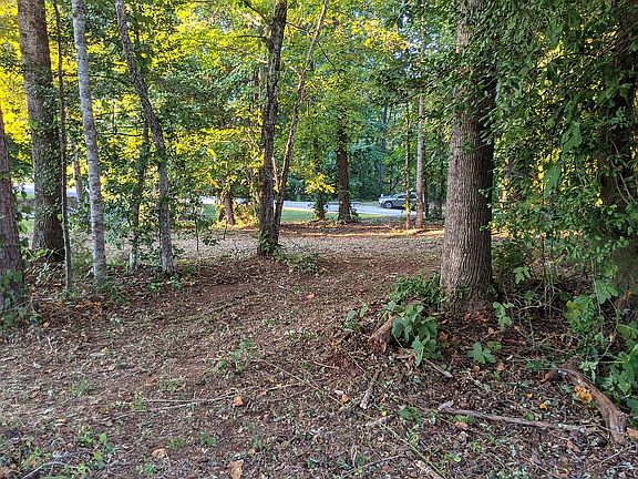 Lightly wooded