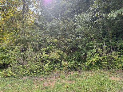 1A Hillside Dr, Elizabethton, TN, 37643