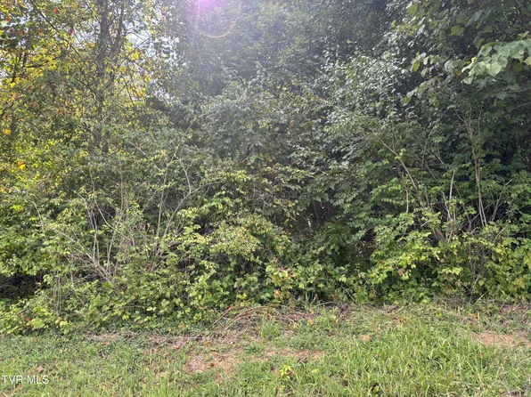 1A Hillside Dr, Elizabethton, TN 37643